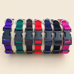 Fern & Hound Everyday Webbing Collar range