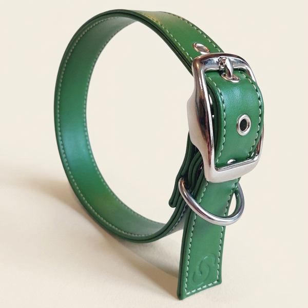 Fern & Hound Vegan Apple-Leather Collar in Forest Green