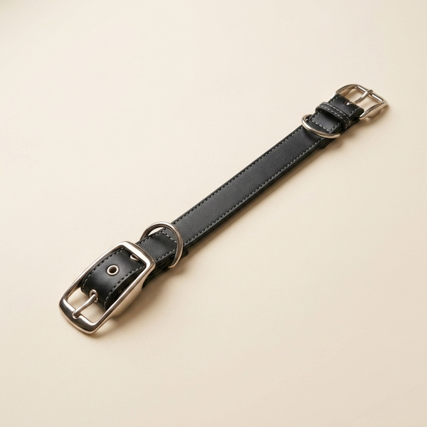 Fern & Hound Collar & Lead Set — apple-leather collar with padded lead