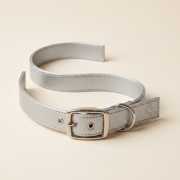 Fern & Hound Vegan Apple-Leather Collar in Silver