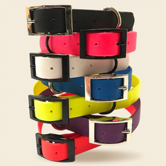 Fern & Hound Waterproof Webbing Collar
