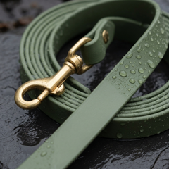 Close-up of a moss-green Biothane long line beaded with rain, with a metal trigger clip